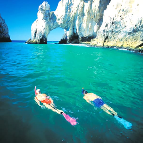 Snorkelear juntos en El Arco – LOS CABOS, AVENTURA Y ECOTURISMO